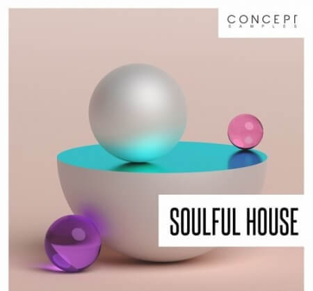 Concept Samples Soulful House WAV